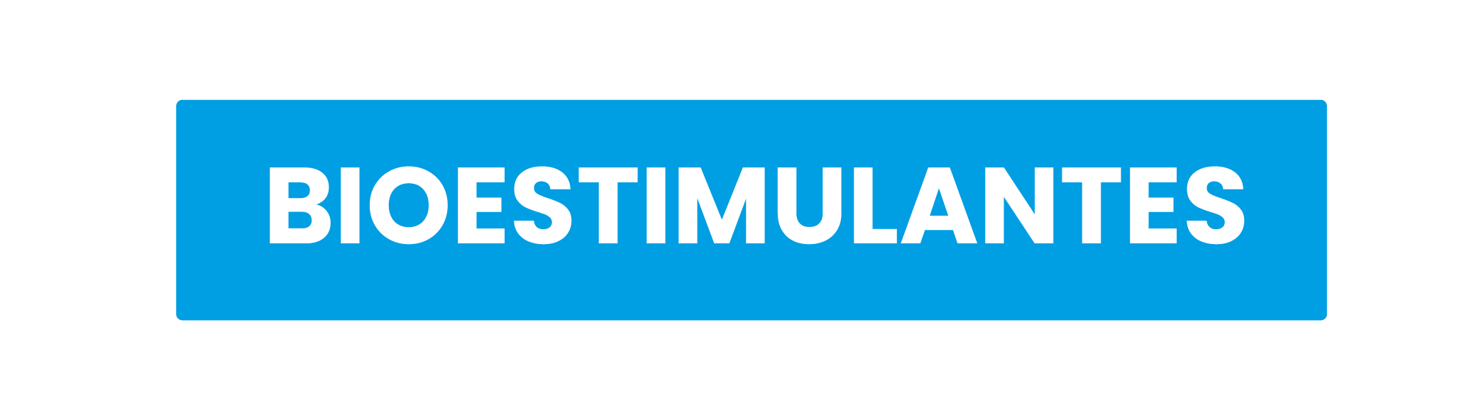 Categoría 1 Imagen 2